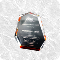 《日電貿》華泰 Supplier Excellence Award